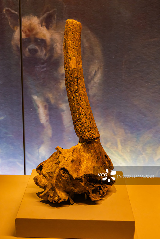 山西博物院精品文物图片素材