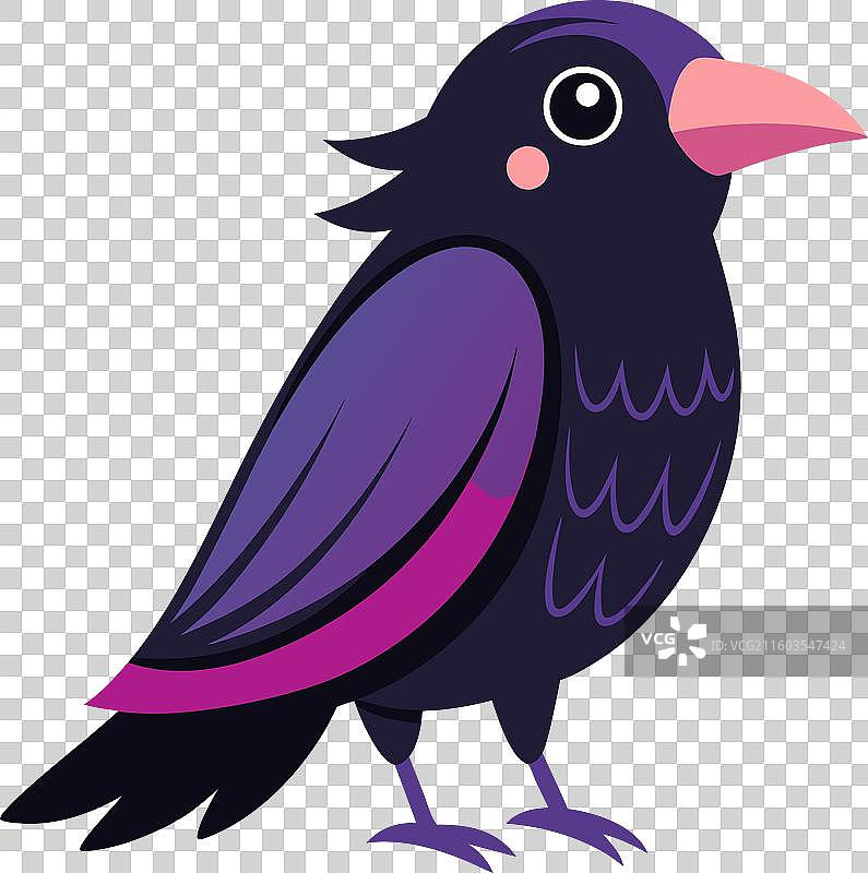 乌鸦鸟敲打可爱图片素材