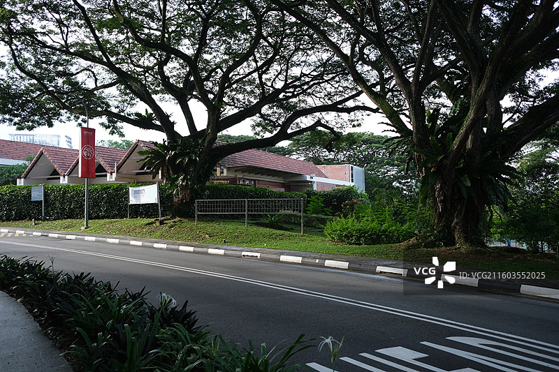 新加坡国立大学校园景观图片素材