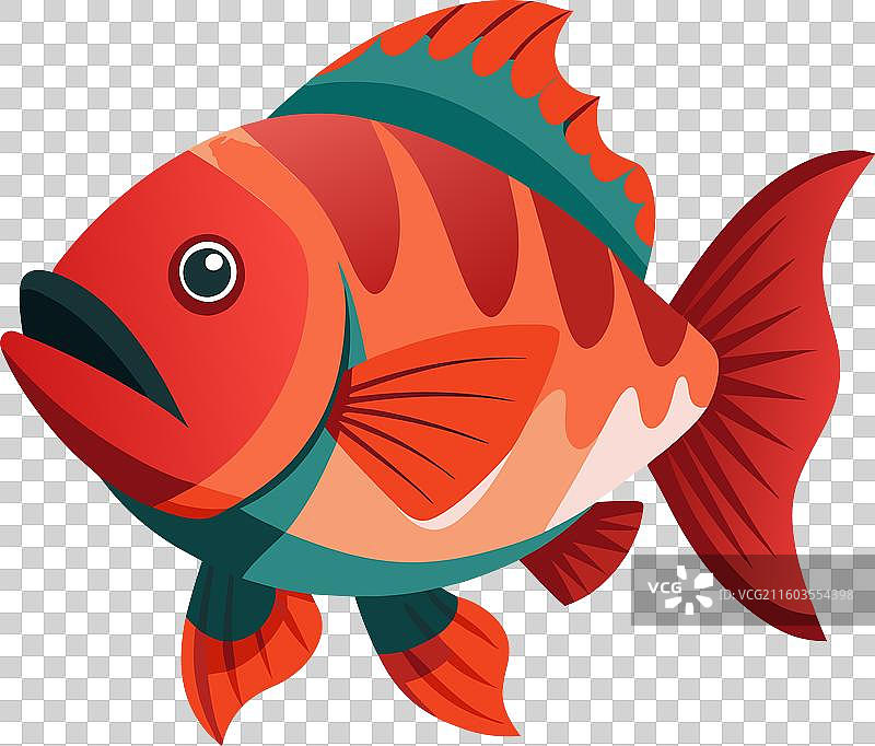 可爱风格的犬牙鲷鱼图片素材