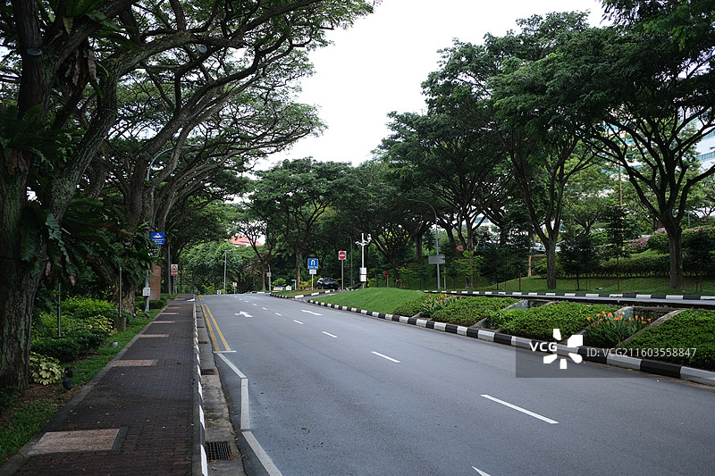 新加坡国立大学校园景观图片素材