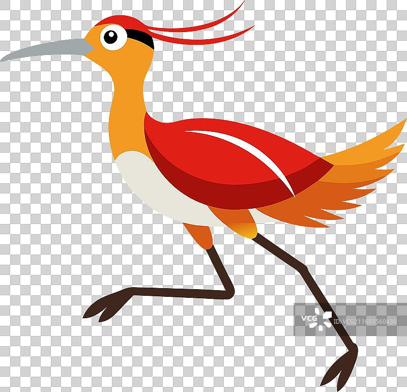 卡通风格的白腰草鹬奔跑图片素材