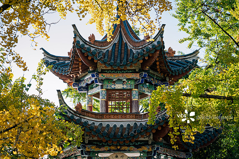 云南省昆明市翠湖公园，秋日观鱼亭实拍图片素材