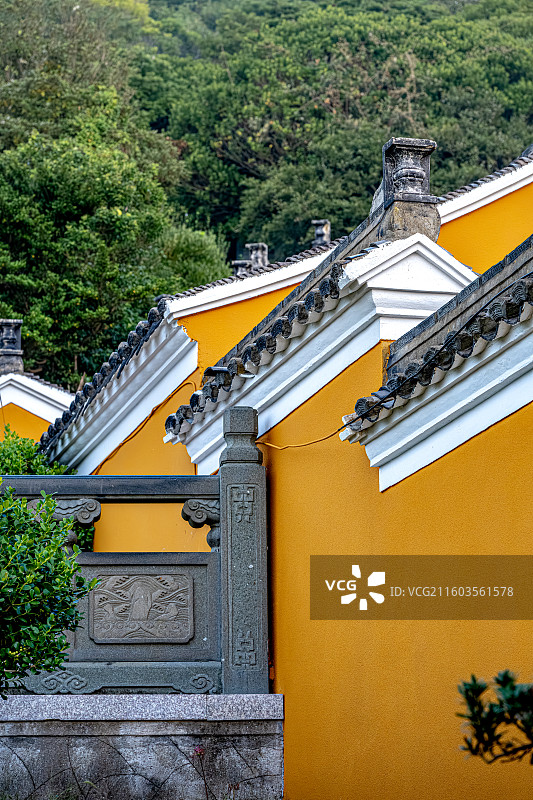 梵音古洞 梵音洞 罗汉松与马头墙 普陀山海天佛国 日出时分朝阳照亮寺庙 普陀十二胜景图片素材