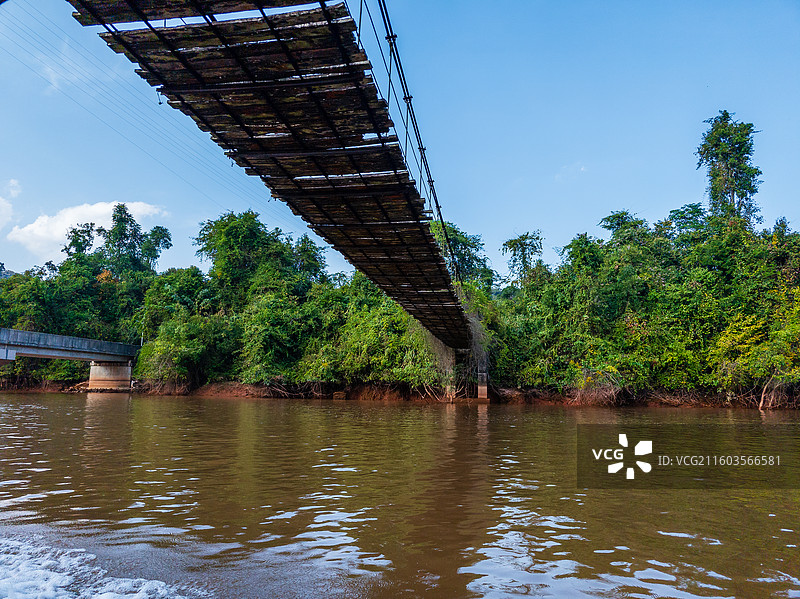 云南省西双版纳州勐腊县望天树景区图片素材