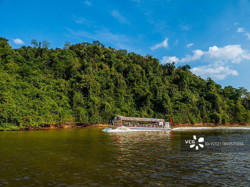 云南省西双版纳州勐腊县望天树景区图片素材