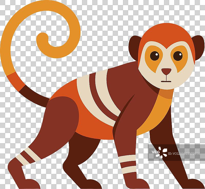 可爱的眼镜猴行走图片素材