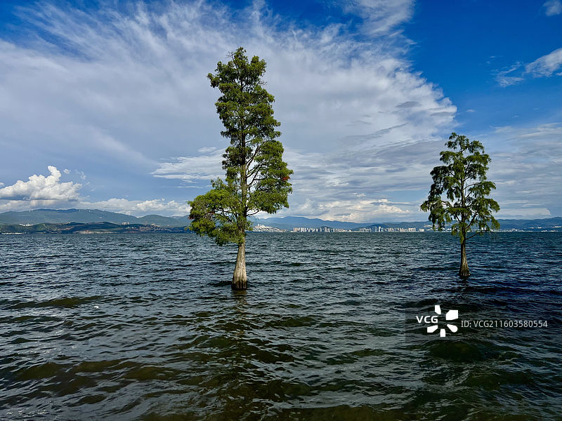 云南大理环海西路洱海生态廊道龙龛夫妻树附近洱海风光图片素材