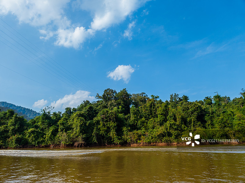 云南省西双版纳州勐腊县望天树景区图片素材