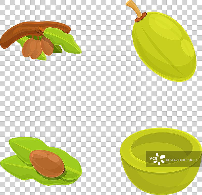 卡通绿色乳木果图标集图片素材