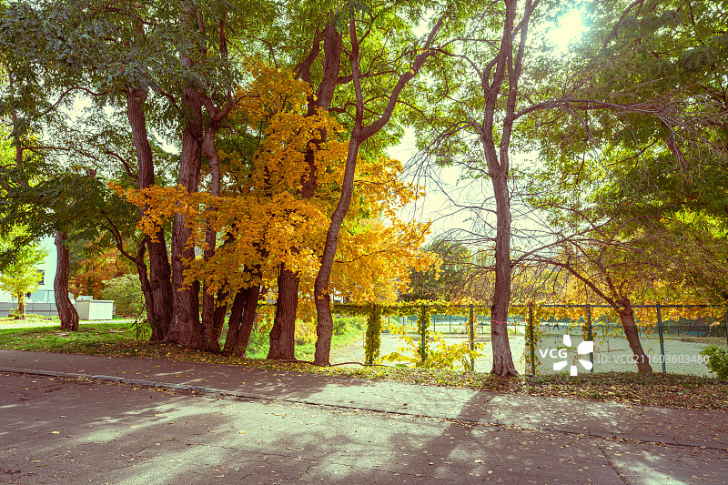 北海道大学秋景图片素材