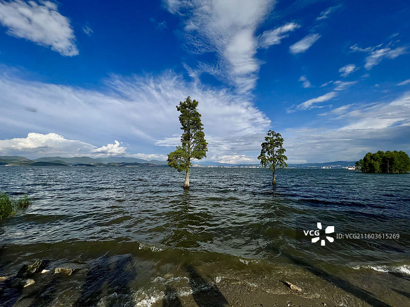 云南大理环海西路洱海生态廊道龙龛夫妻树附近洱海风光图片素材