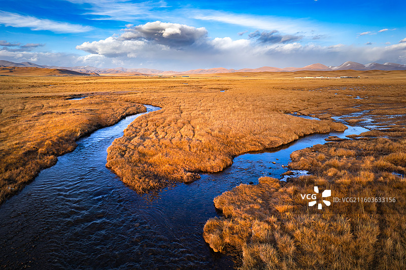 青海冬季草原图片素材