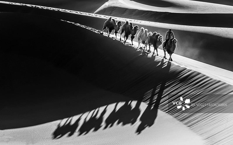 【沙漠光影】图片素材