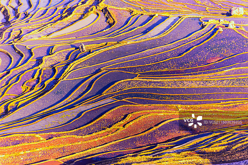 哈尼梯田多彩光影景观图片素材