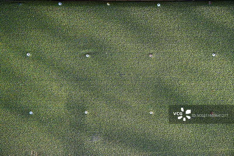 人工草坪背景图图片素材