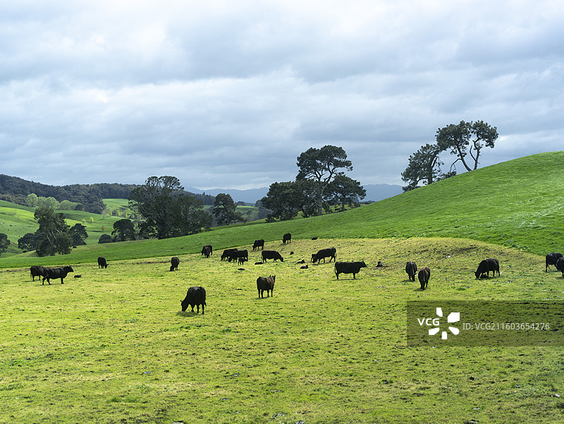 霍比特人村图片素材