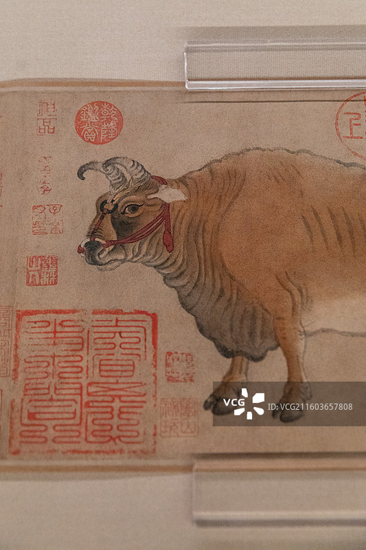 故宫百年展唐韩滉五牛图卷图片素材