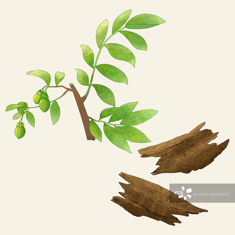 手绘水彩中药药材沉香图片素材