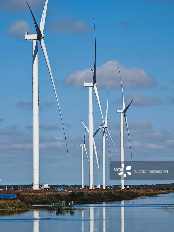 江苏盐城条子泥景区景色图片素材