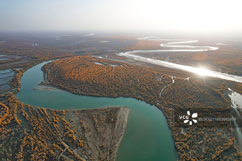 新疆沙雅塔里木河哈德墩大桥秋季风光图片素材