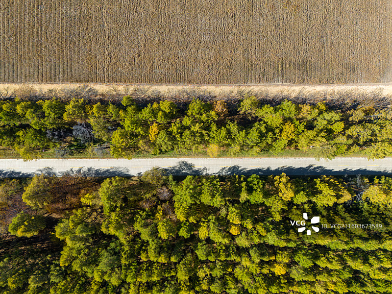 俯瞰农田与森林之间的林带图片素材