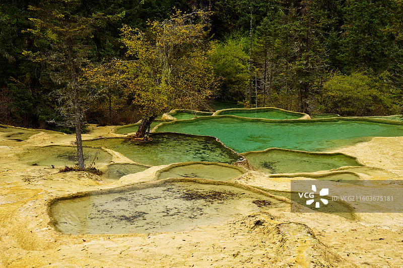 五彩缤纷争艳池图片素材