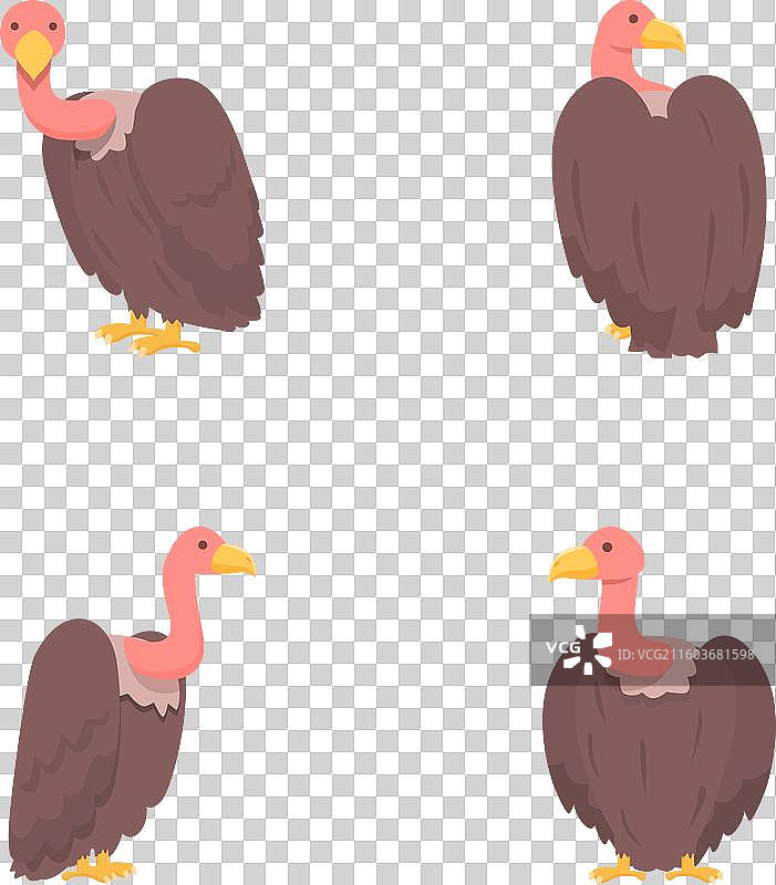 秃鹰鸟图标集 卡通大鸟图片素材