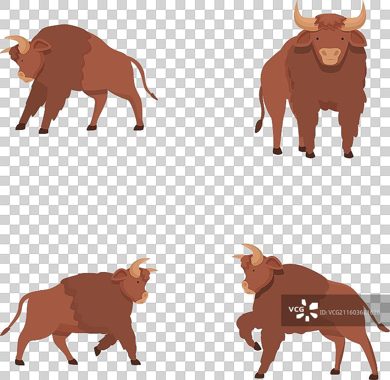 水牛图标集 卡通 美国水牛图片素材