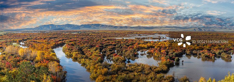 呼伦贝尔额尔古纳湿地绚烂秋色图片素材
