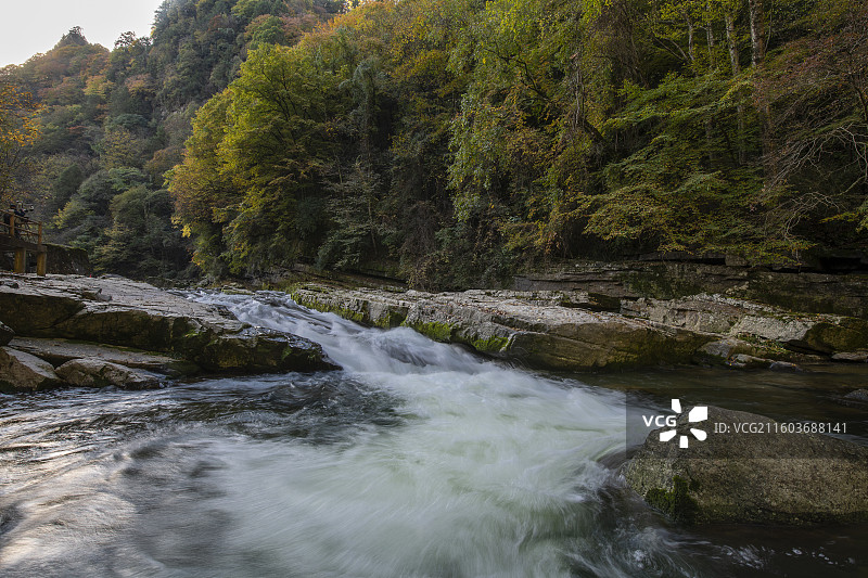秋季陕西汉中黎坪国家森林公园自然风光图片素材