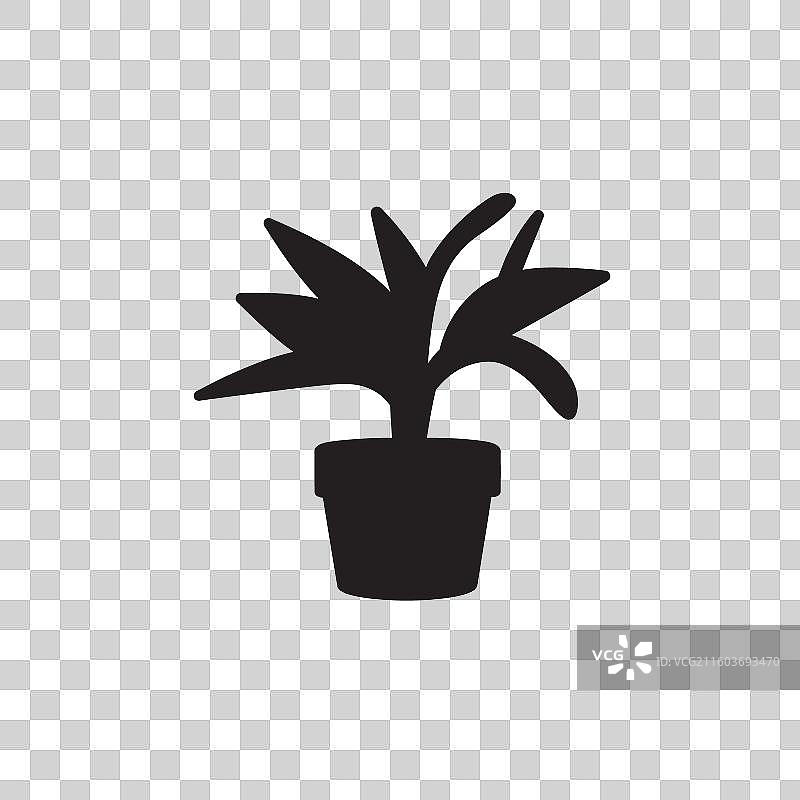 天堂棕榈宽叶图标象征意义图片素材