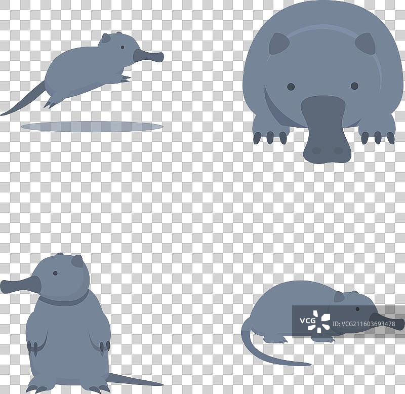 麝（Desman）动物图标集，卡通哺乳动物图片素材