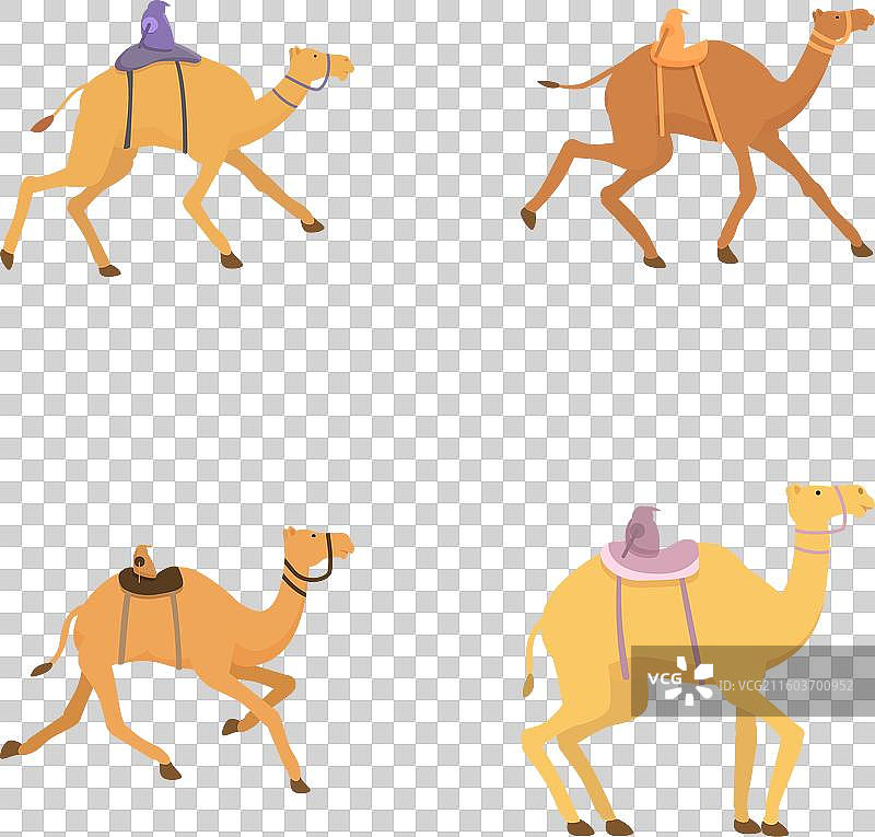 各种姿势的卡通骆驼组合图片素材