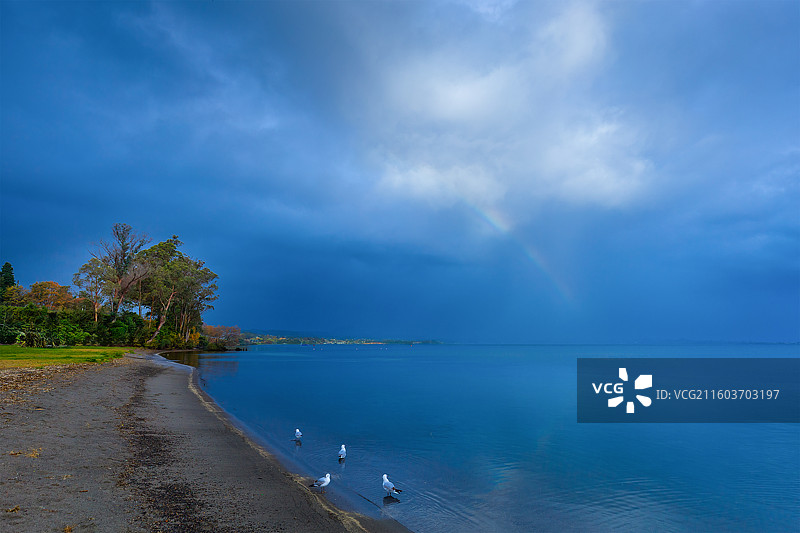 新西兰北岛陶波湖掠影图片素材