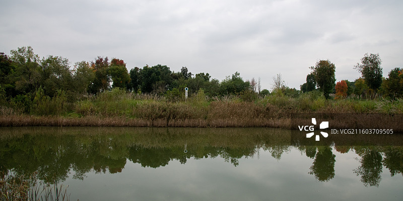 成都青龙湖湿地公园青龙渡图片素材