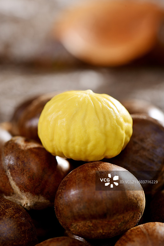 刚收获的新鲜板栗图片素材