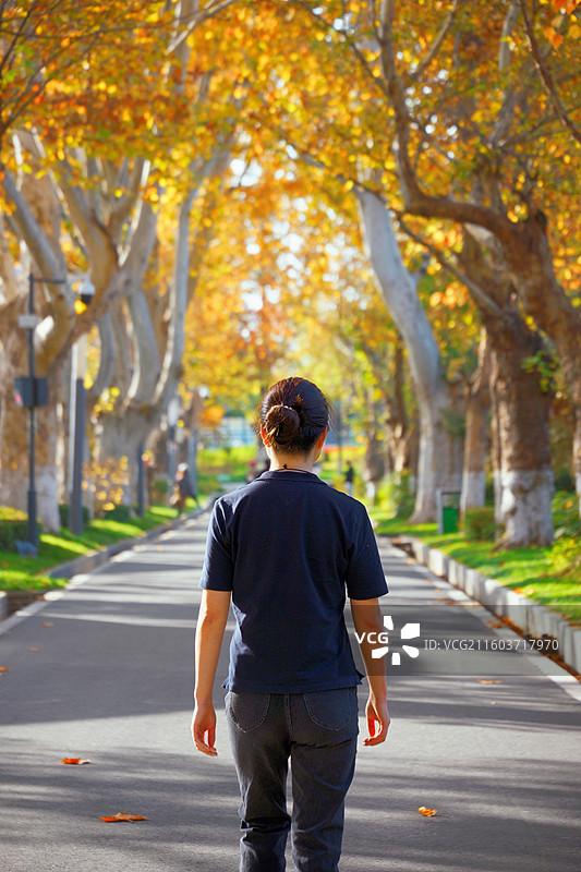 一组在秋日公园里的人物背影特写图片素材
