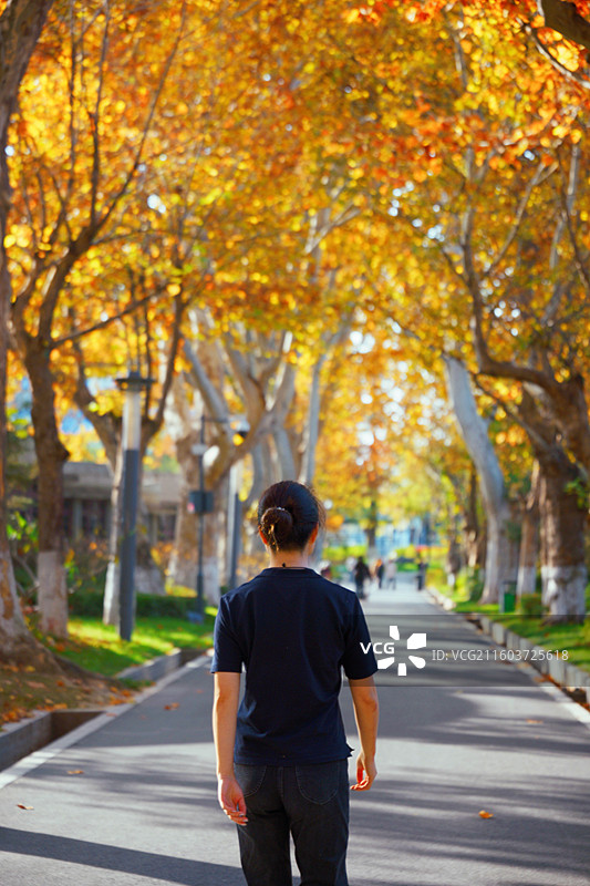 一组在秋日公园里的人物背影特写图片素材