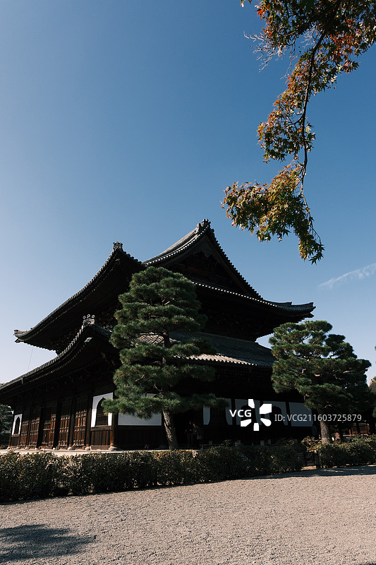白昼 建仁寺 kinninji 寺庙 古建筑图片素材