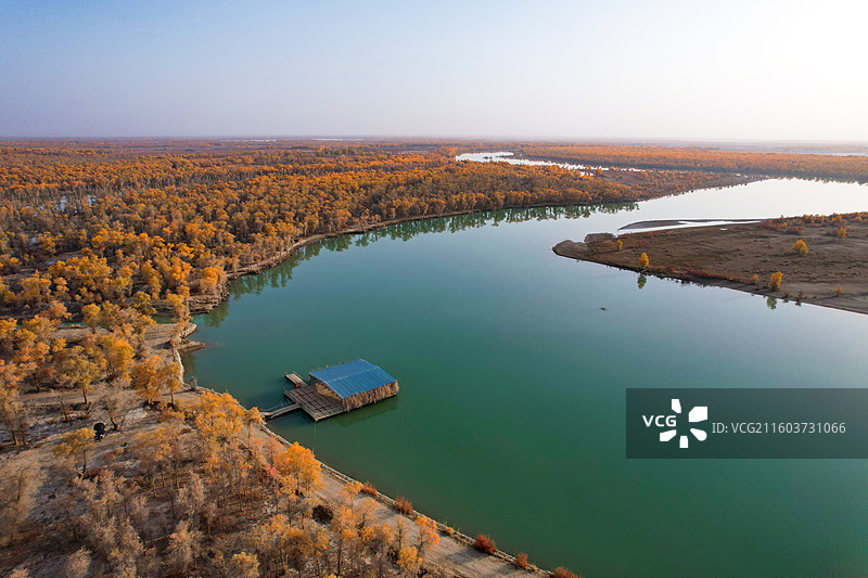 新疆沙雅塔里木河哈德墩大桥秋季风光图片素材