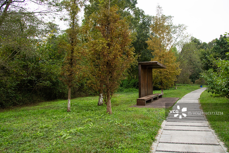 成都青龙湖湿地公园-十陵森林公园小路图片素材