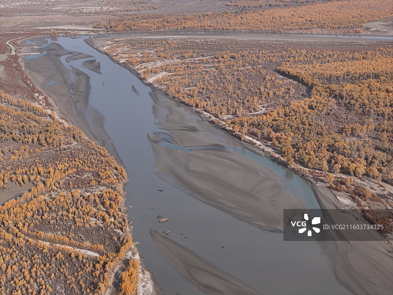 沙雅哈德墩大桥胡杨秋色图片素材