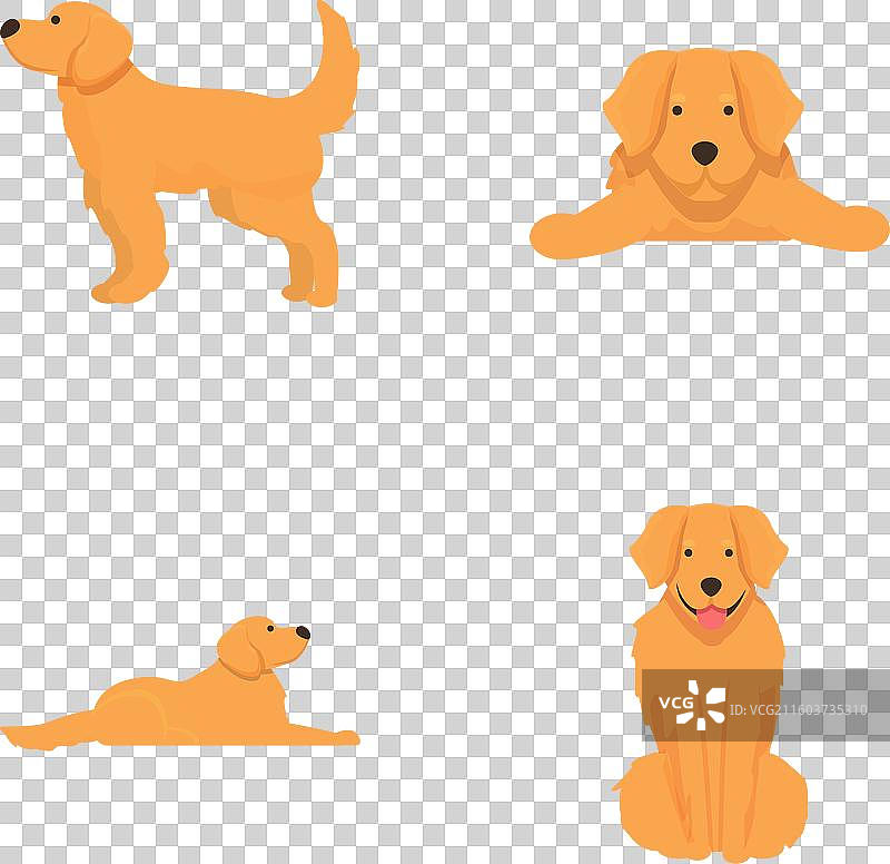 一套可爱的卡通金毛寻回犬图片素材