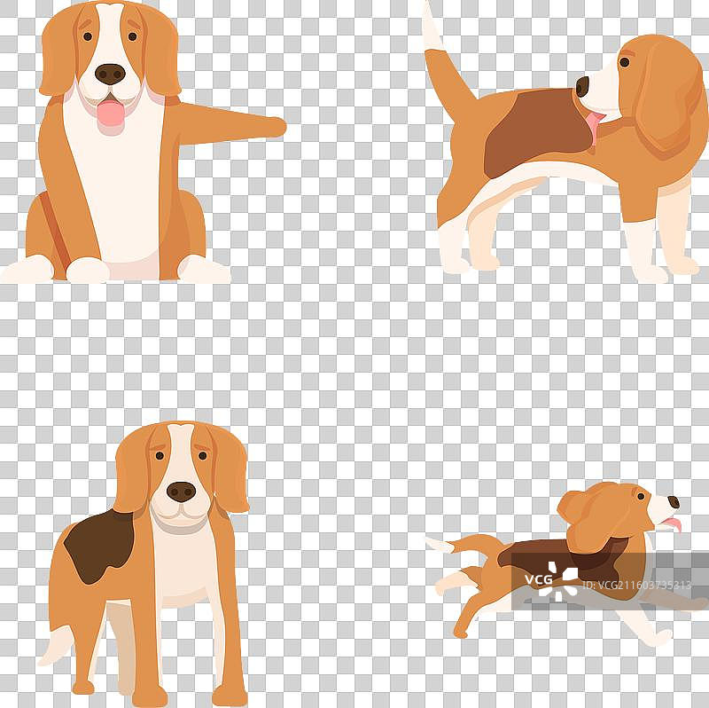 卡通比格犬姿势集合图片素材