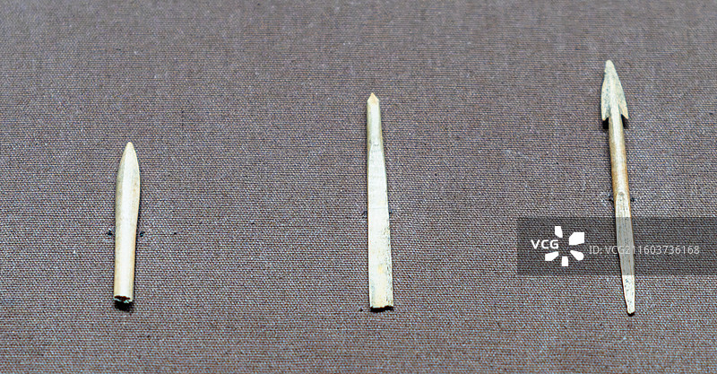 内蒙古博物院 牙骨角器图片素材