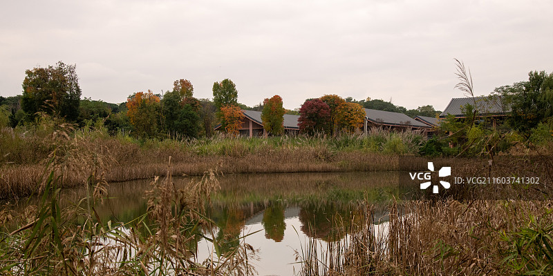 成都青龙湖湿地公园图片素材