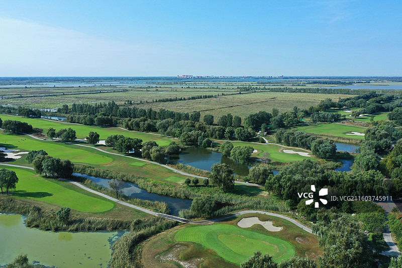 喜降冬雨净尘埃，银杏枫红异彩裁  鸿雁远征穿雾过，珍馐慢炖御寒来  千山万水凭栏眺，无尽风光入镜开图片素材