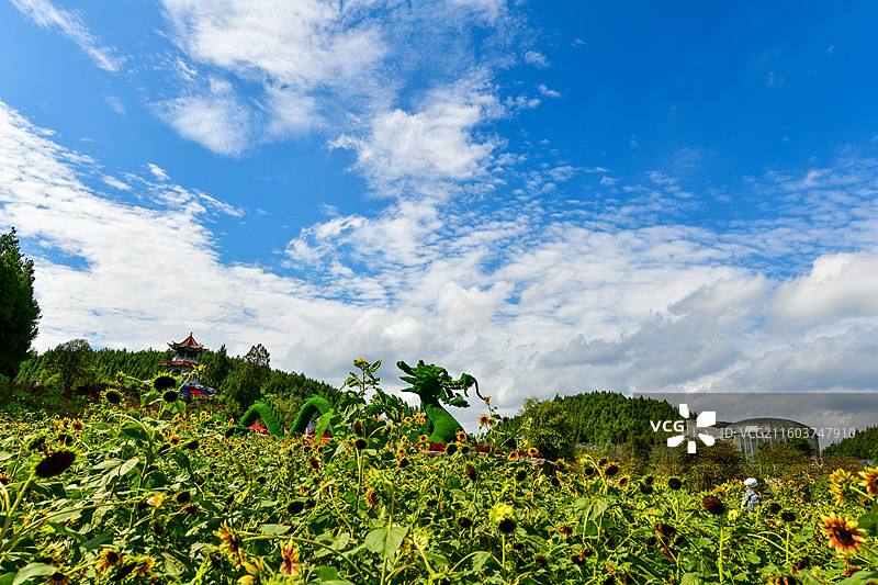 贵州遵义，贵州农业旅游博览园风光图片素材