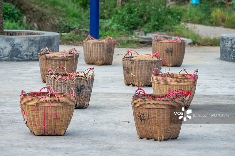 珠三角农村水泥地上晒的稻谷图片素材